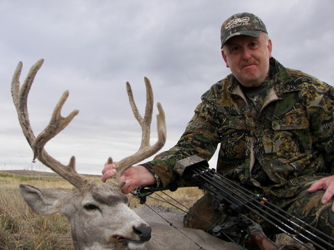 Mule Deer 2006