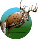 Whitetail Deer Hunting Logo